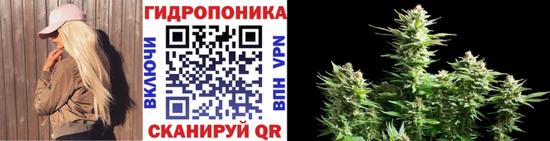 Купить наркотик Новороссийск Амфетамин Бошки Шишки МДМА Cocaine Галлюциногенные грибы