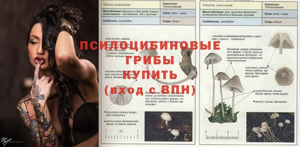 Альфа ПВП Алексеевка