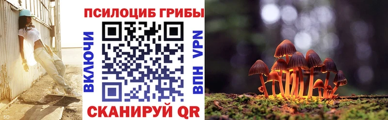 купить наркотик Новороссийск Псилоцибиновые грибы Cubensis