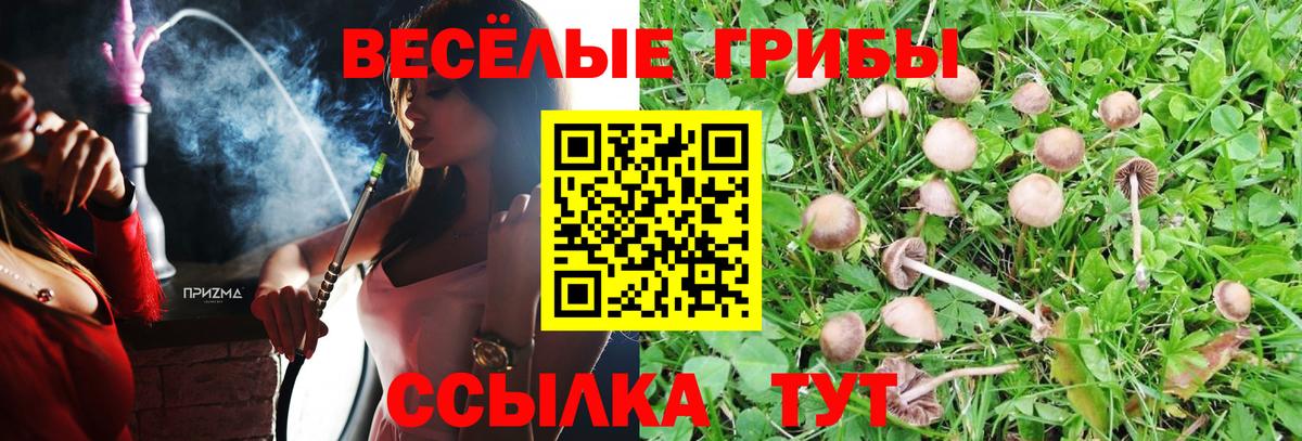Новороссийск  Псилоцибиновые грибы мицелий  Вход с VPN 